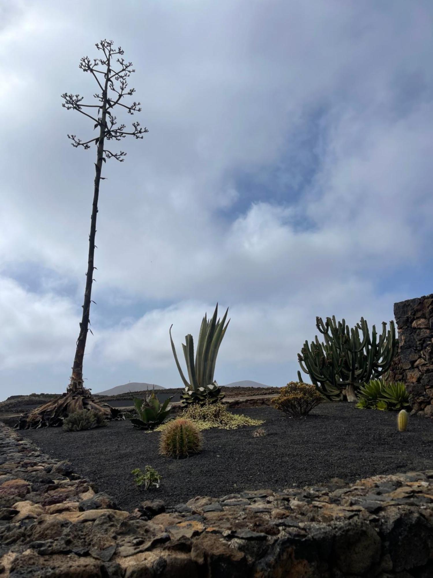 Villa Timanfaya Tinajo Kültér fotó