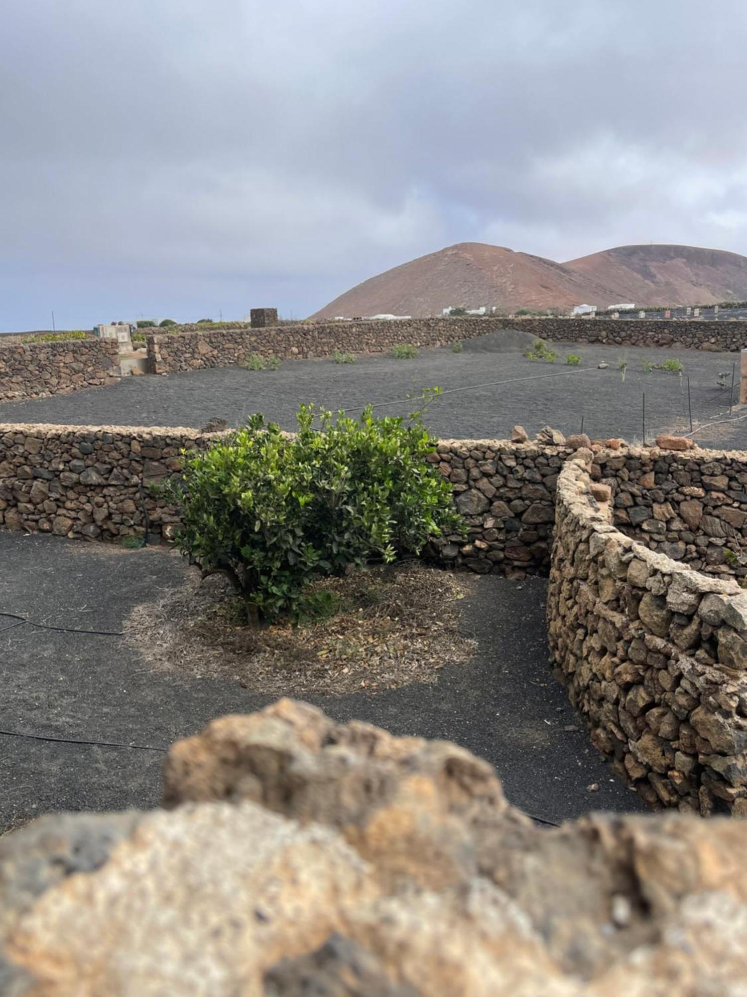 Villa Timanfaya Tinajo Kültér fotó