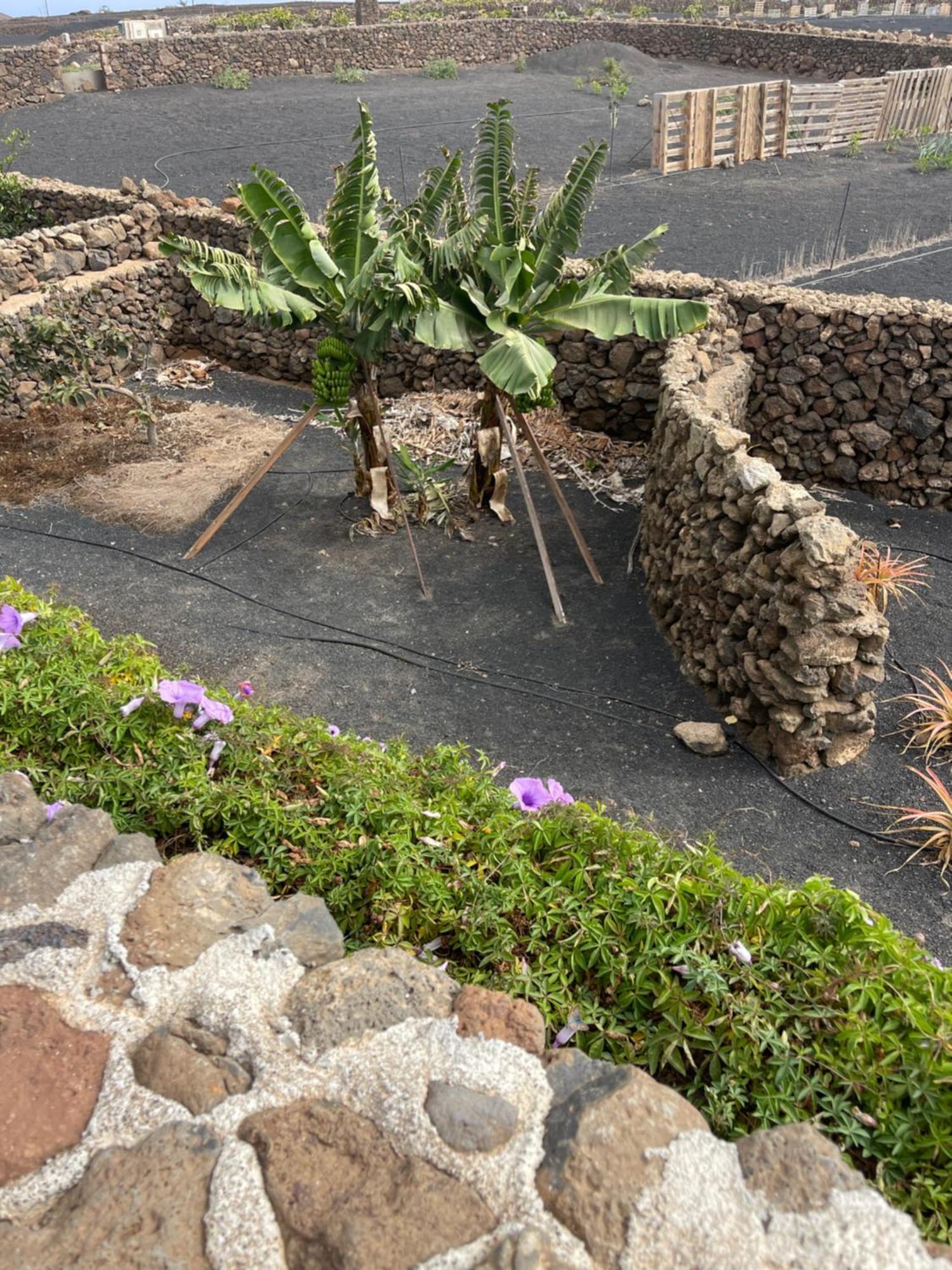 Villa Timanfaya Tinajo Kültér fotó