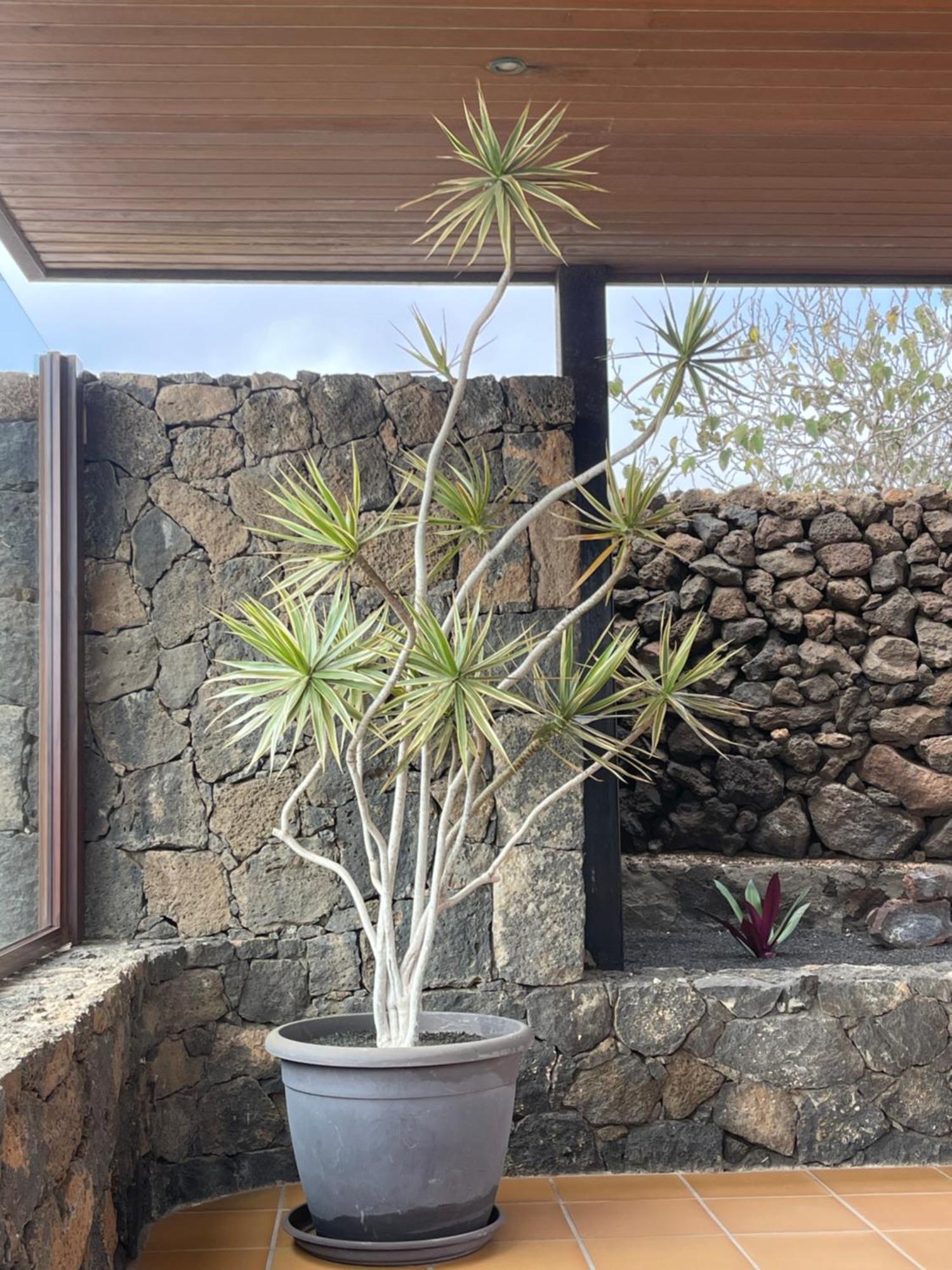 Villa Timanfaya Tinajo Kültér fotó